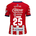 Jersey Atletico San Luis Local Sporelli 2024/25 Damm