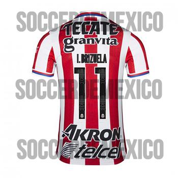 chivas mexico jersey