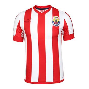 men's authentic puma chivas 115 years long sleeve jersey 2021