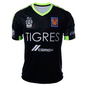 tigers jersey swimming club